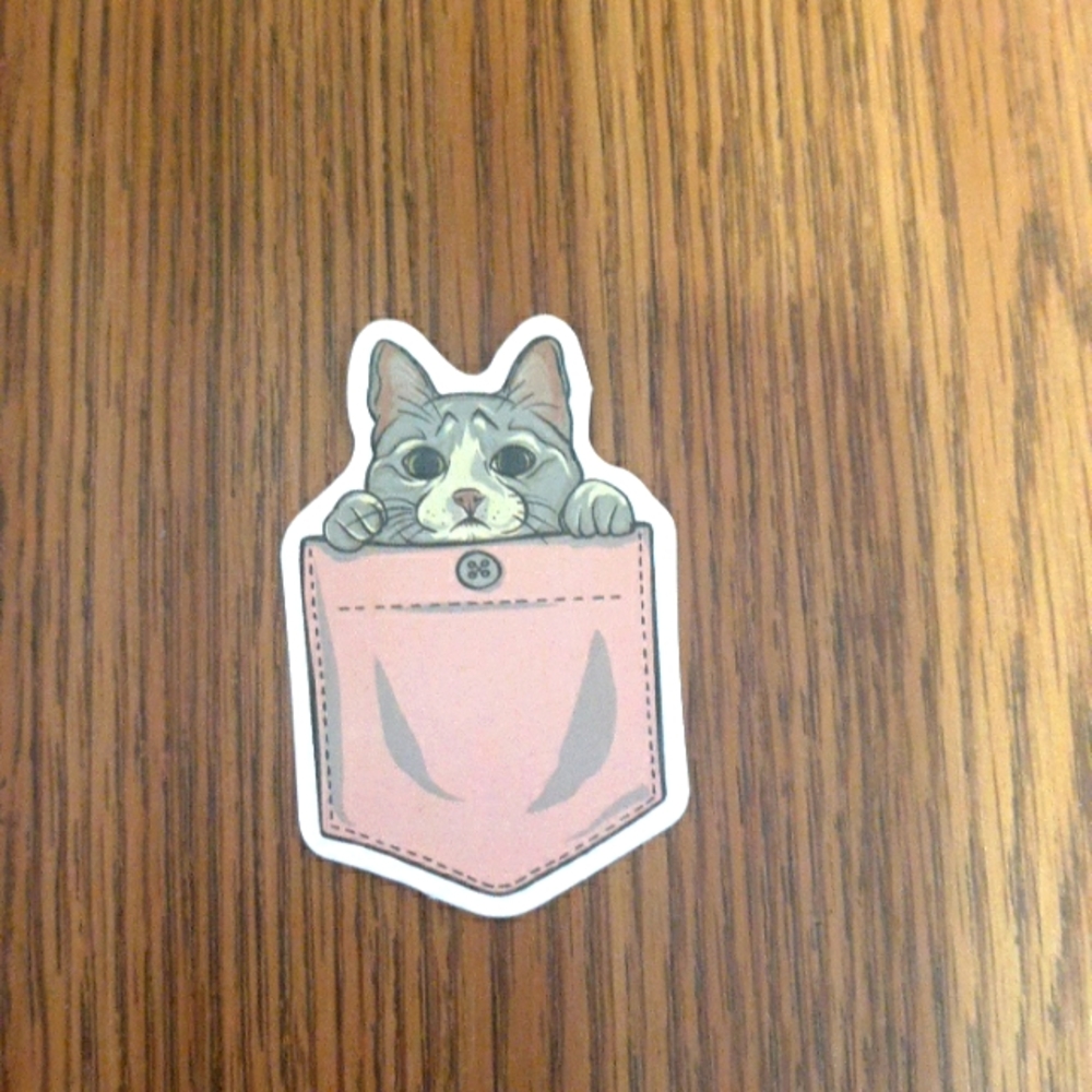 Cat sticker